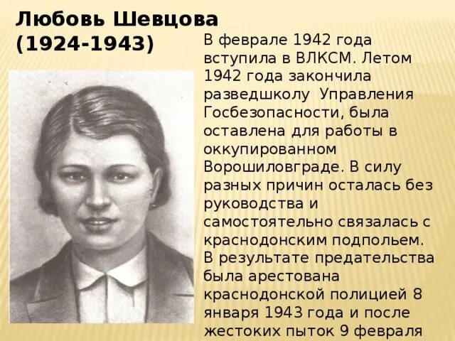 Материал экспозиции: Любовь Шевцова